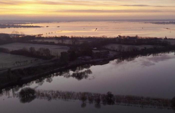 the white marshes of the Cotentin Natural Park come back to life