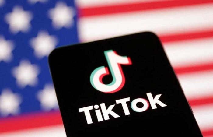 TikTok’s bold strategy to save itself in the United States