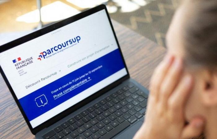 Parcoursup: an artificial intelligence module now helps high school students choose their courses: News