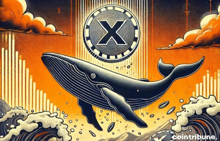 Whales propel XRP to the top again