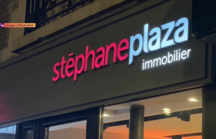 of Stéphane Plaza real estate agencies want to leave the franchise