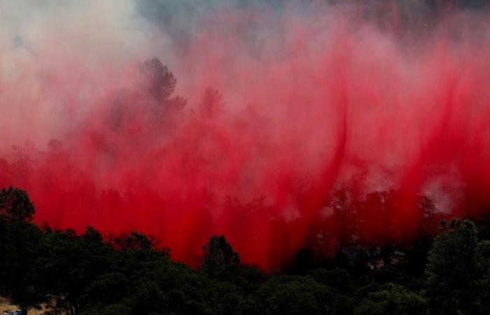 What is this pink substance dropped on fires?