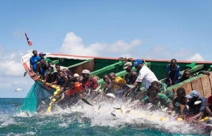 Saint-Louis: three fishermen missing in the capsizing of a canoe