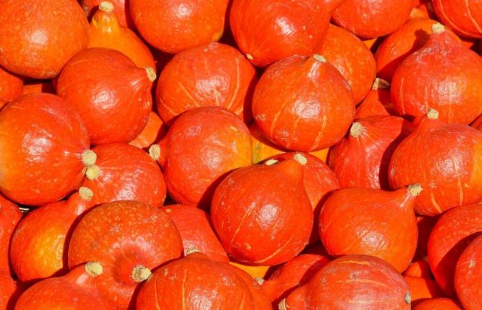 Leclerc recalls organic pumpkins because they contain too many pesticides