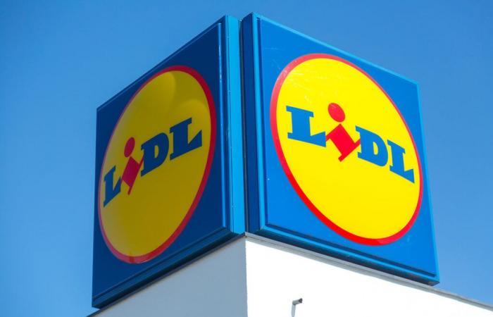 Lidl opens 10 new stores throughout France, here is the list