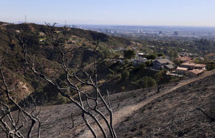 Los Angeles wildfires: strong winds begin to pick up again