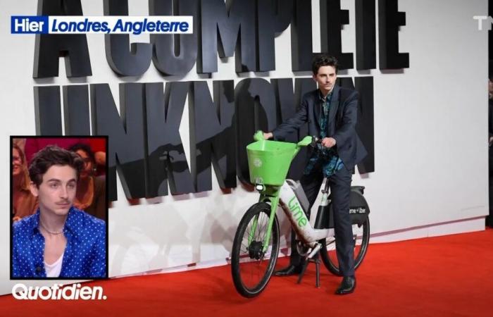 Le Petit Q: Timothée Chalamet, his definition of the promotional tour – Quotidien