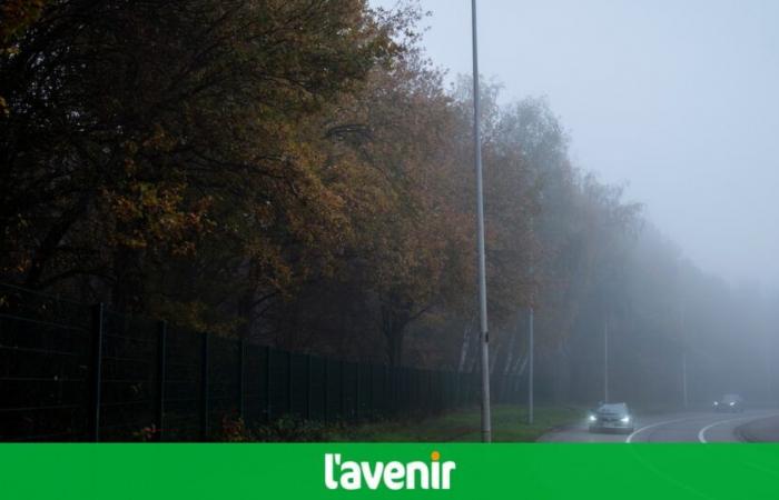 Weather in Belgium this Wednesday: the country placed on yellow alert for fog throughout the day, visibility will be limited on the road