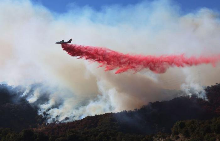 Phos-Chek, a pink substance to fight Los Angeles fires