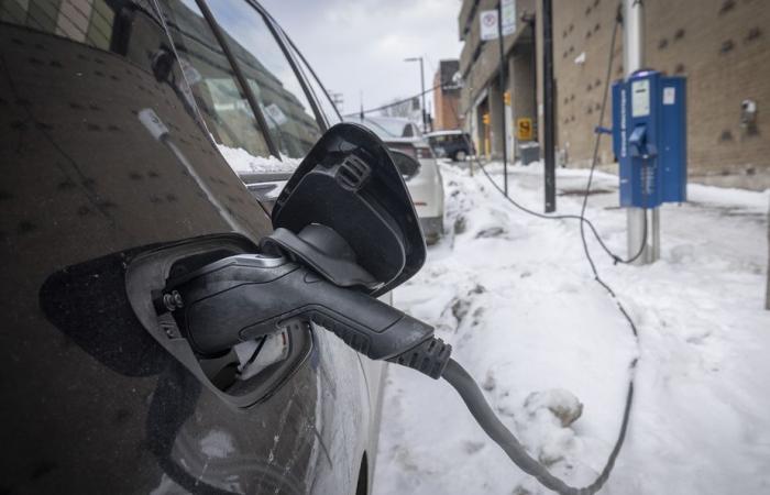 End of subsidies for electric vehicles | Industry calls for end to mandates requiring reduction in supply of gasoline-powered vehicles