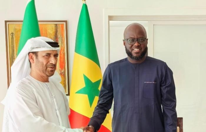 National Assembly-Strengthening diplomatic and parliamentary relations: President El Malick Ndiaye grants audiences to the ambassadors of the United Arab Emirates, Malaysia and Cape Verde