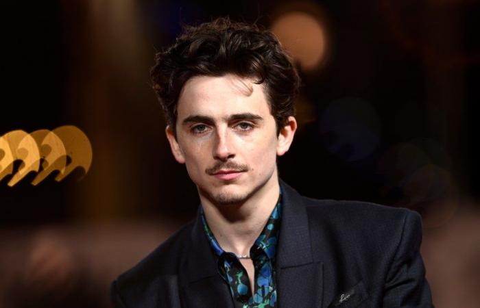 Timothee Chalamet Rode a Bike to ‘A Complete Unknown’ Premiere, Got Fined