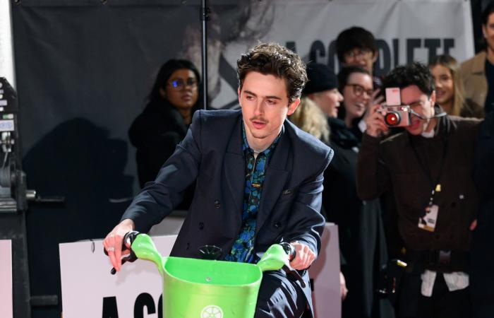 Timothée Chalamet arrives at the premiere of A Perfect Stranger… by bike