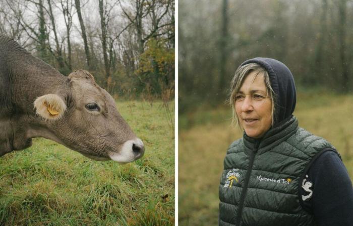 in the midst of a crisis in the agricultural sector, and with the elections approaching, non-union breeders testify