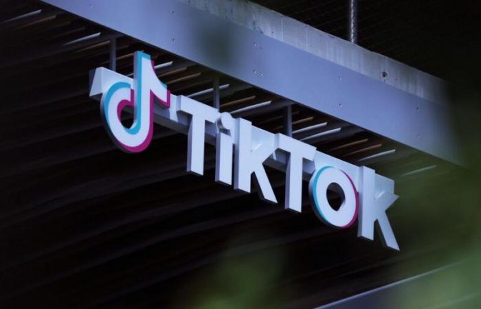 China is exploring the possibility of selling TikTok to Elon Musk