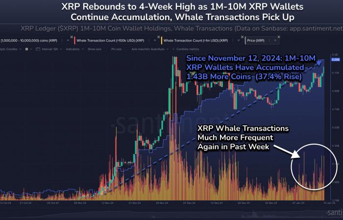 Here’s What Happened On-Chain Before XRP Jumped to $2.87