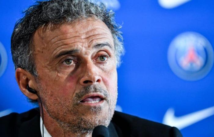 Kvaratskhelia – PSG: Luis Enrique bangs his fist on the table!