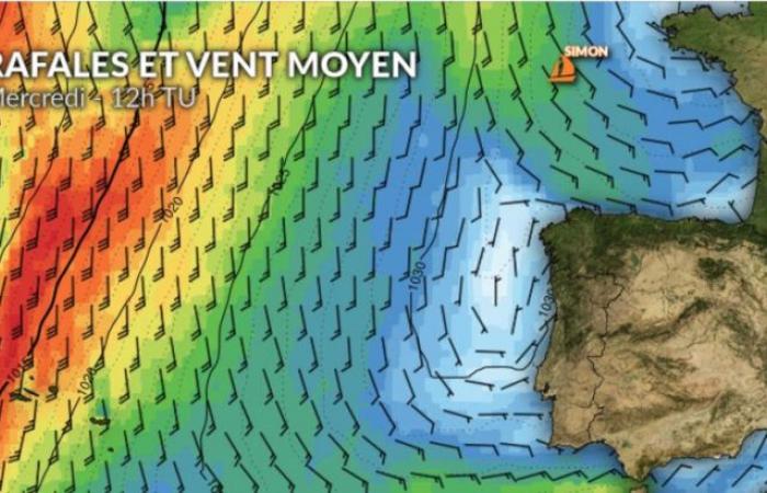 Vendée Globe weather: next arrival in the night from Thursday to Friday for the 3rd Sébastien Simon