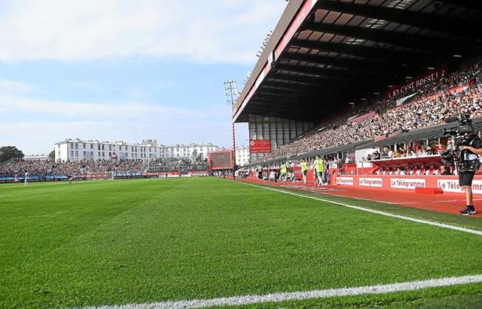 “T in the match”: what future for Francis-Le Blé after leaving Stade Brestois?