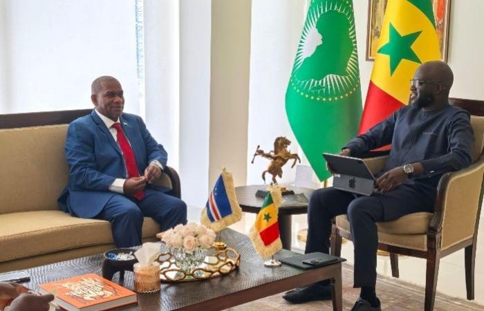 National Assembly-Strengthening diplomatic and parliamentary relations: President El Malick Ndiaye grants audiences to the ambassadors of the United Arab Emirates, Malaysia and Cape Verde