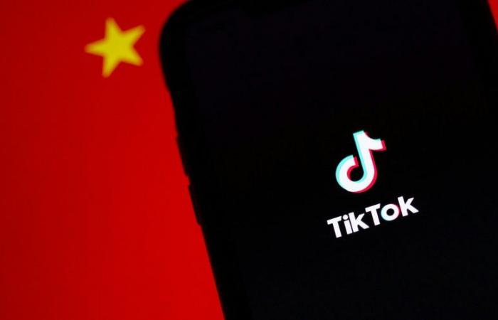 TikTok set to shut down access to US users unless US Supreme Court intervenes