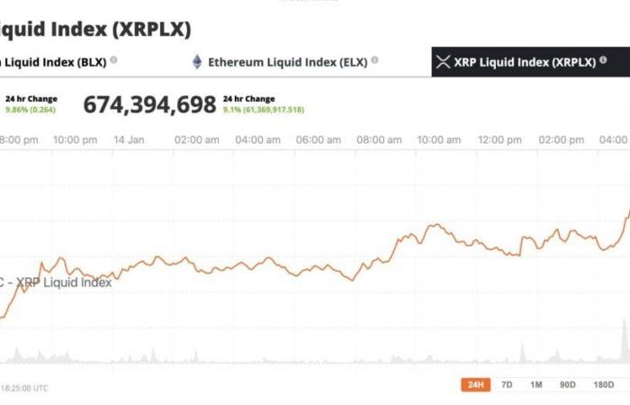 XRP on the Rise: Peter Brandt Unveils Why Prices Are Skyrocketing