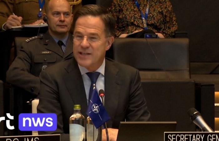 NATO boss Mark Rutte: “Either invest more in defense, or emigrate to New Zealand”