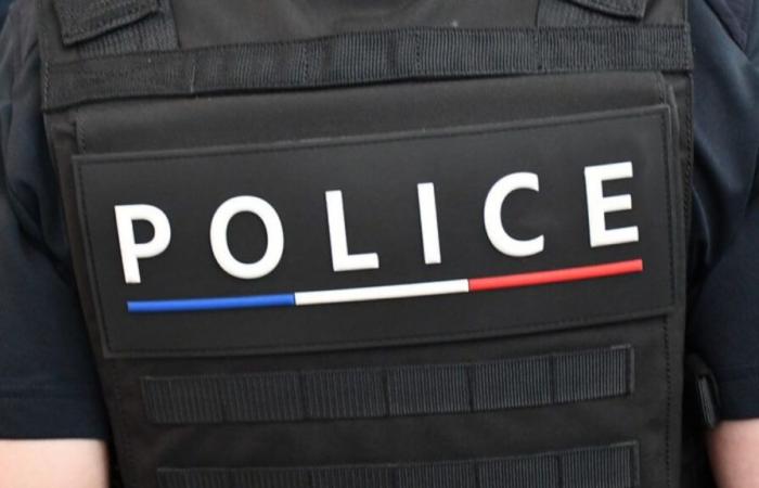 Haute-Savoie police officers continue the fight against drugs