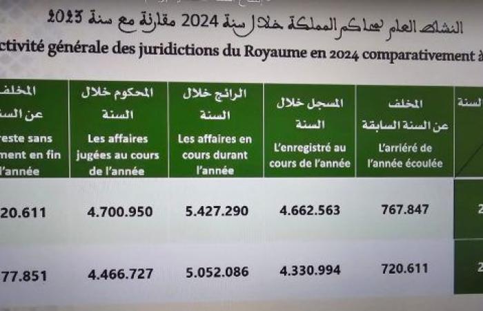 Abdel Nabawi: The courts have been known to falter in exercising their duties in 2024 due to strikes, yet 4 million records and more than 330 thousand new files (documents)