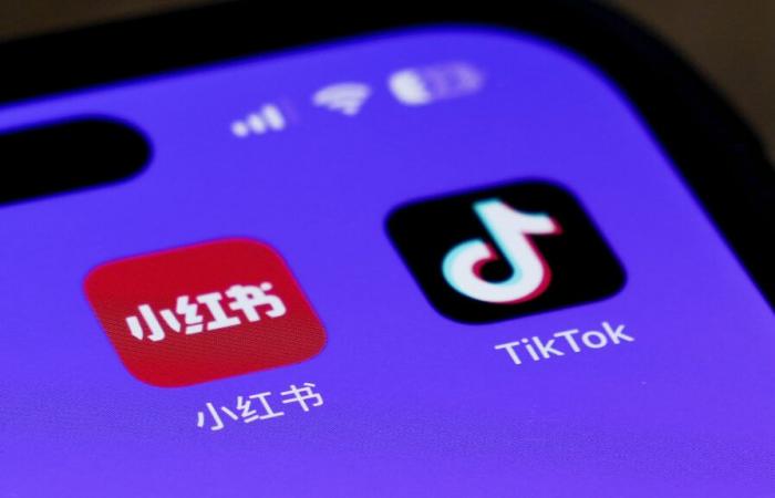 Tik Tok ban in the United States: here are the similar applications available