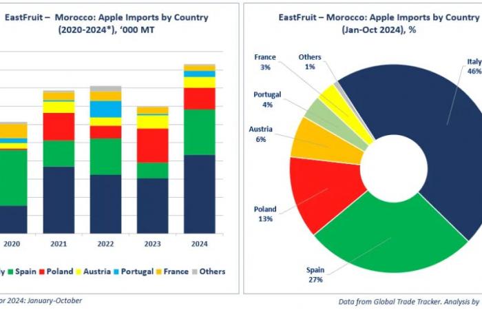 Morocco records record apple imports in 2024