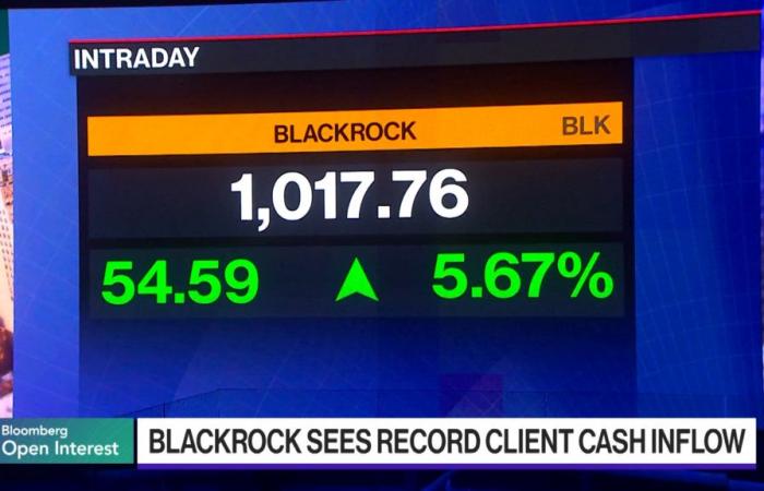 BlackRock takes its place as a public-to-private sector juggernaut