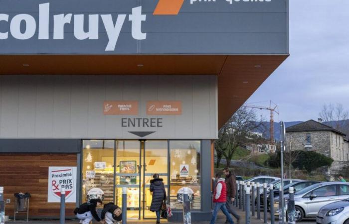 Distribution in Belgium: Colruyt, last rampart against foreign giants?