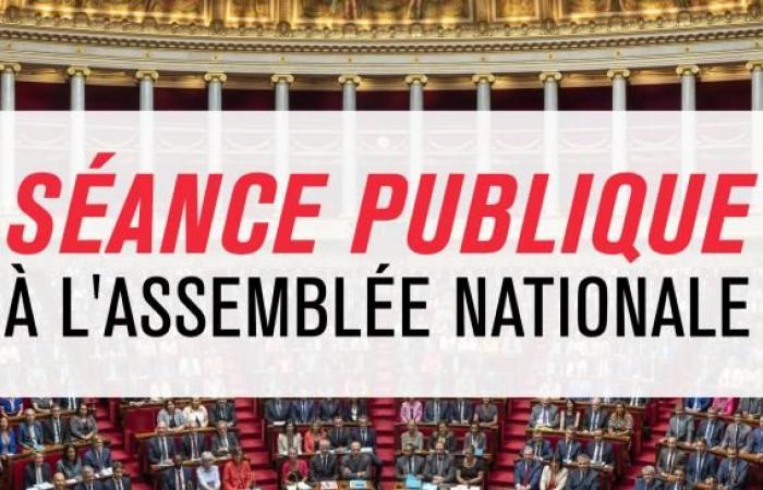 Public session at the National Assembly live – Motion of censure: live debate and vote | LCP