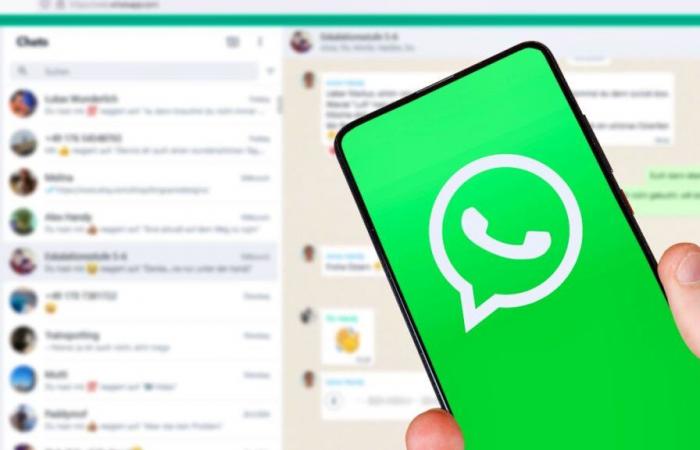 WhatsApp: new options for creative chats