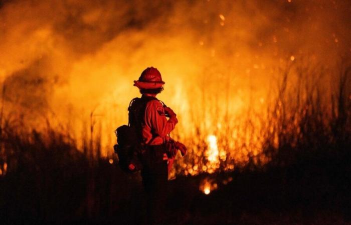 IN PICTURES | No respite in fires in Los Angeles, where the wind blows