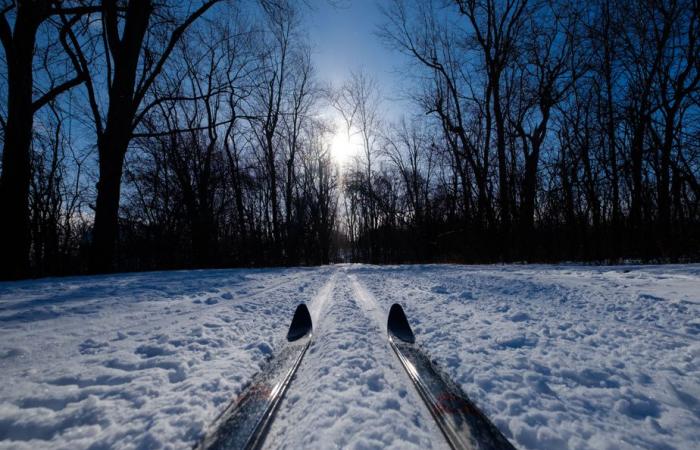 The wonderful world of cross-country ski bindings