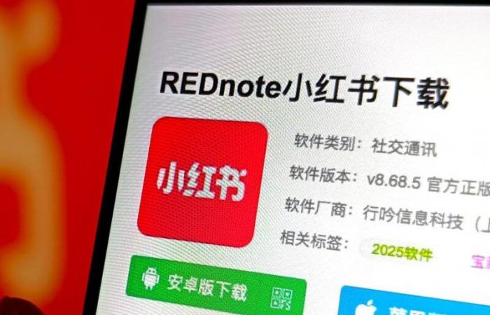 I Tried RedNote. the Chinese App Is Fun Its Popularity Might Not Last.