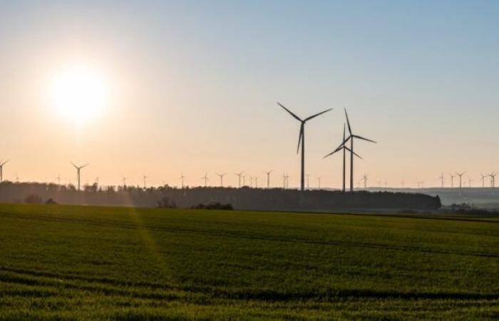 Wind projects in Lotbinière | The MRC wants to limit the impacts in the agricultural sector