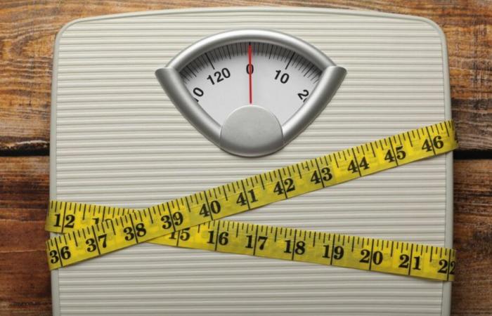 Beyond BMI: Scientists propose a new way to define obesity : Shots