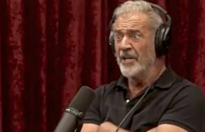 [VIDÉO] Actor Mel Gibson controversy: Ivermectin, a fake cancer cure gone viral