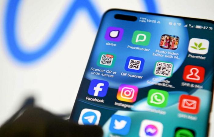 which countries already ban certain social networks?