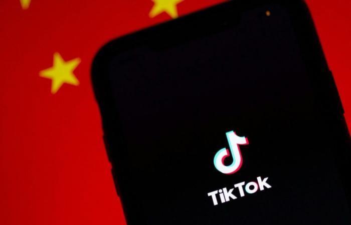 The future of TikTok in the United States: China eyes Elon Musk as a potential buyer