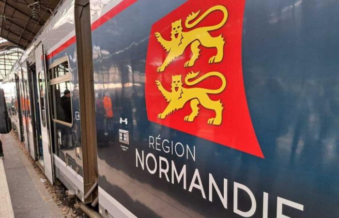 Numerous train delays on the Paris-Rouen-Le Havre line this morning: here’s why