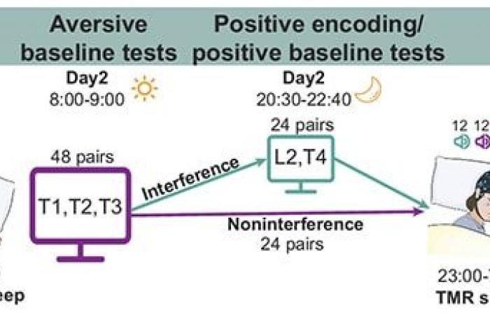 A new technique helps erase bad memories by acting on non-paradoxical sleep