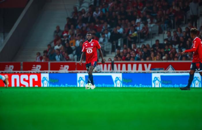 Will Samuel Umtiti wear the LOSC jersey one day? “Too early to say” confides Olivier Létang