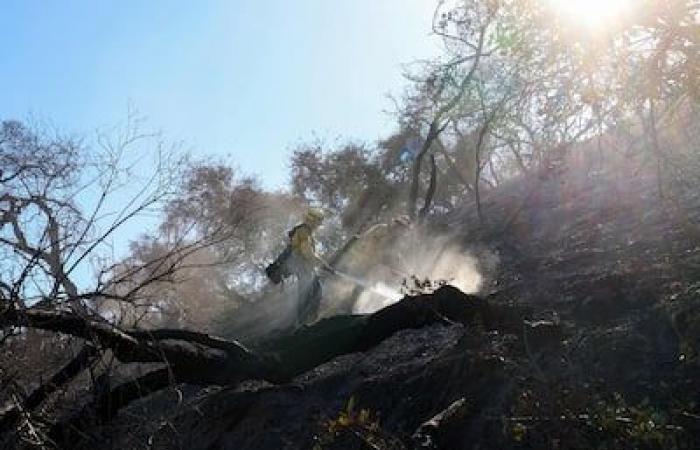 IN PICTURES | No respite in fires in Los Angeles, where the wind blows