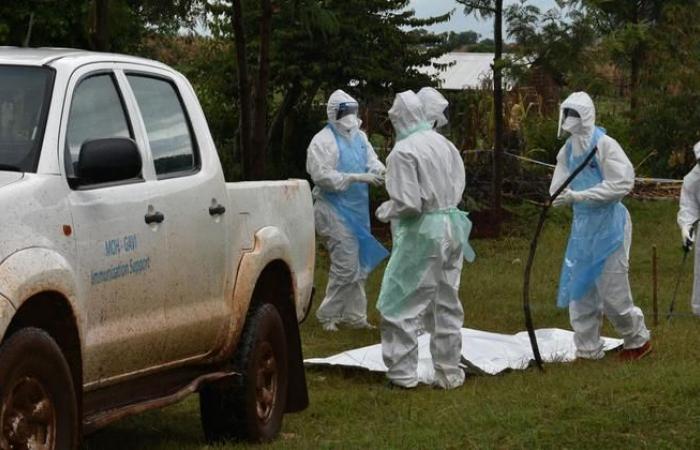 Tanzania: Suspected Marburg virus outbreak kills eight in Kagera region (WHO)