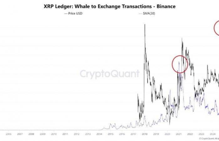 XRP on the Rise: Peter Brandt Unveils Why Prices Are Skyrocketing