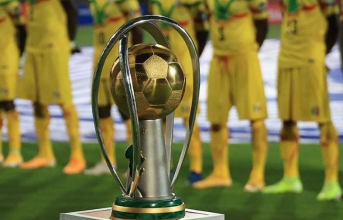 CAF postpones African Nations Championship